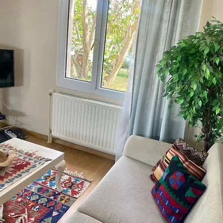 Sunyear 2 Pensión 4*