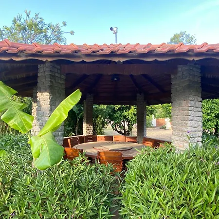 Pensión Sunyear 2 4*