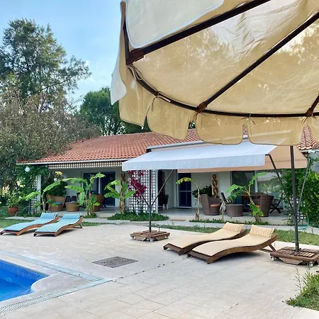 Sunyear 2 Guest house