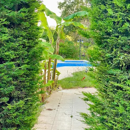 Guest house Sunyear 2 Urla