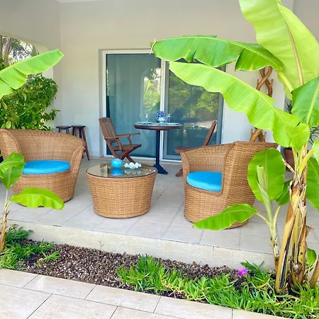 Sunyear 2 4* 乌尔拉