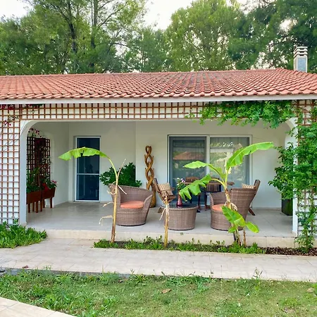 Sunyear 2 Guest house