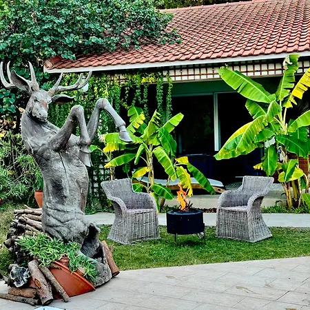 Pensión Sunyear 2 Urla