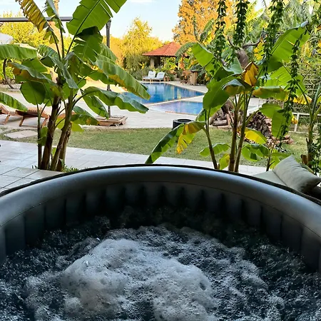 Sunyear 2 Guest house