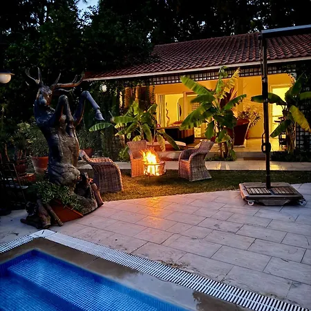 Sunyear 2 Pensjonat 4*