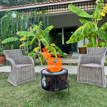 Guest house Sunyear 2