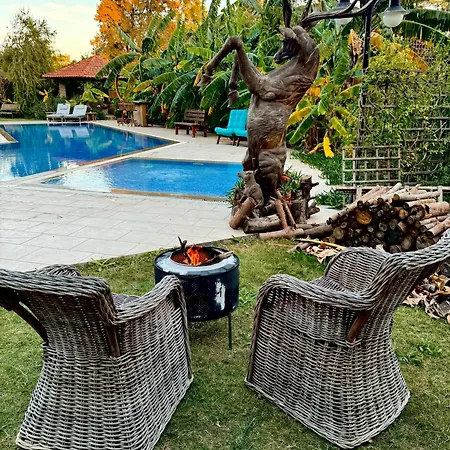 Sunyear 2 Guest house *