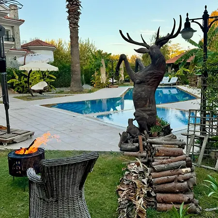 Sunyear 2 Pensión 4*