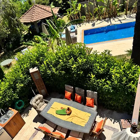 Sunyear 2 Pensión 4*