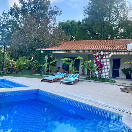 Maison d'hôtes Sunyear 2 Urla