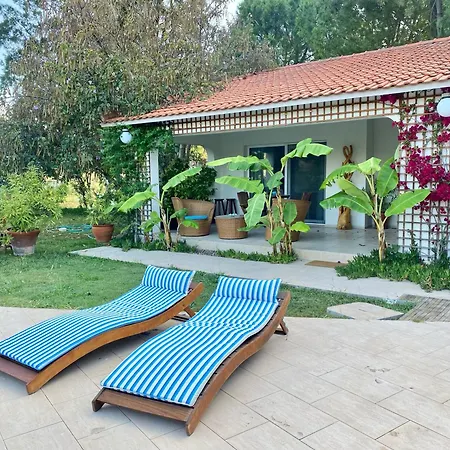 Sunyear 2 Maison d'hôtes