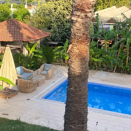 Maison d'hôtes Sunyear 2 Urla