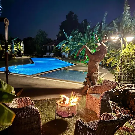 Maison d'hôtes Sunyear 2 Urla