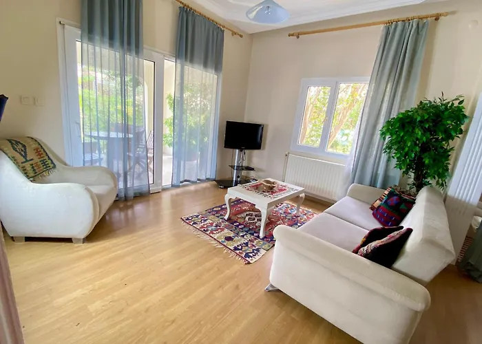 Sunyear 2 Πανσιόν