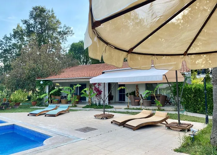 Sunyear 2 Πανσιόν