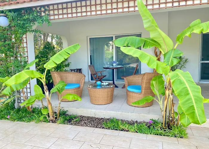 Sunyear 2 4* Βουρλά