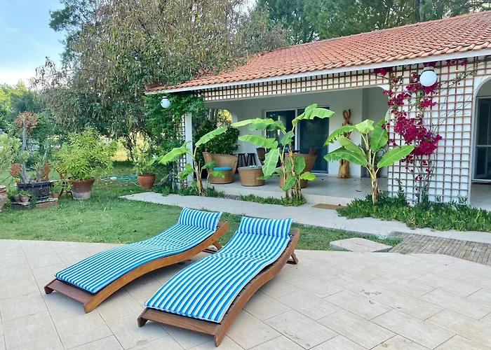 Sunyear 2 Πανσιόν