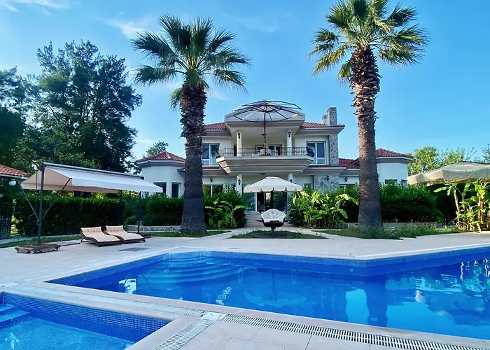 Sunyear 2 Βουρλά