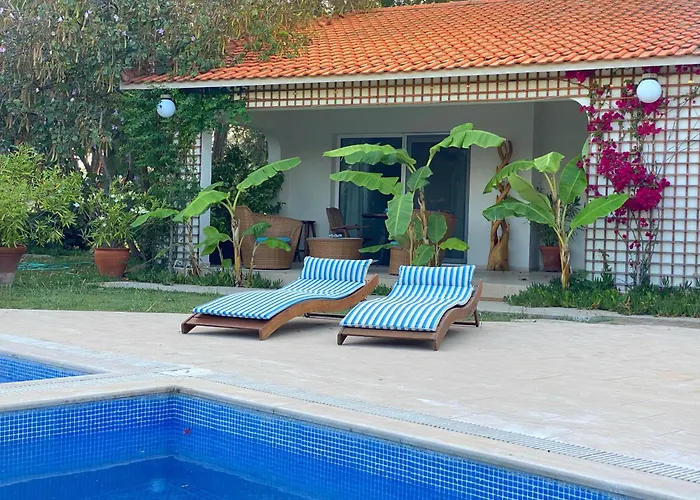 Sunyear 2 4* Βουρλά