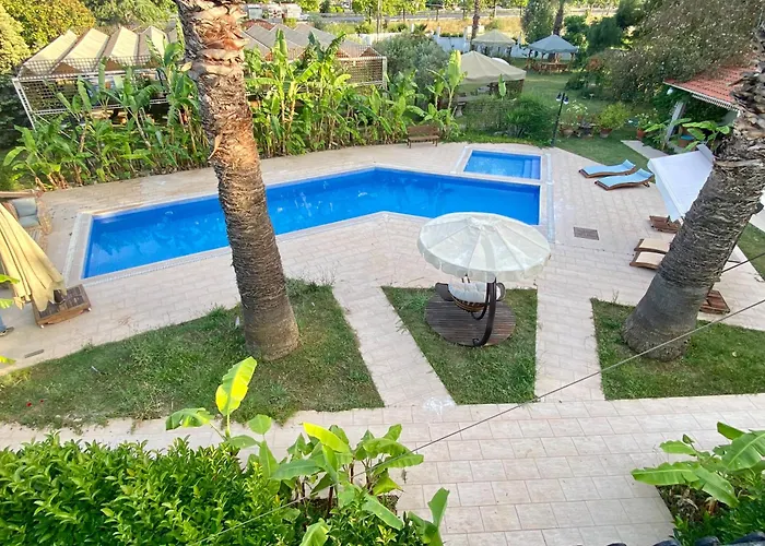 Sunyear 2 Βουρλά