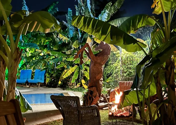 Sunyear 2 Πανσιόν