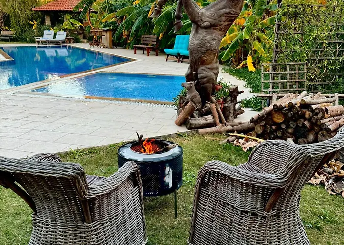 Sunyear 2 Πανσιόν 4*