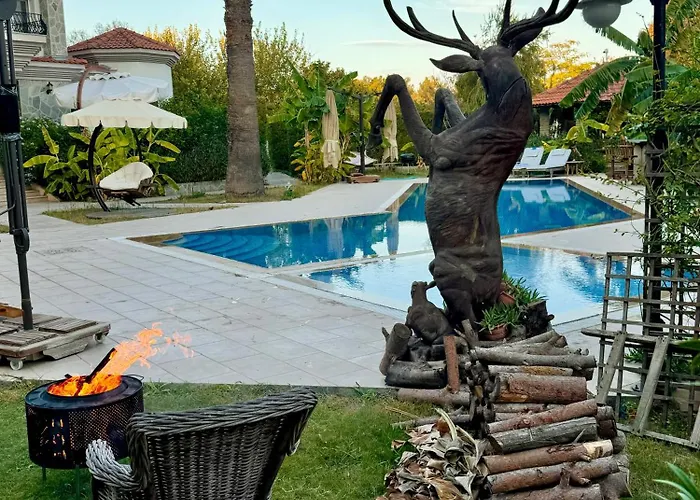 Sunyear 2 Πανσιόν 4*