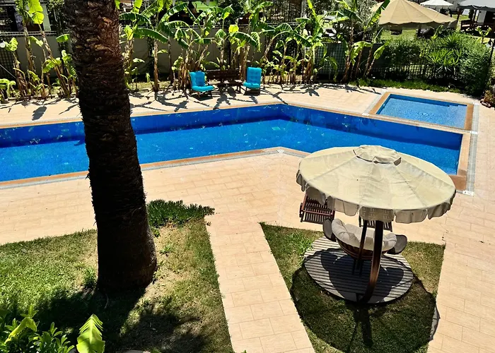 Sunyear 2 Πανσιόν